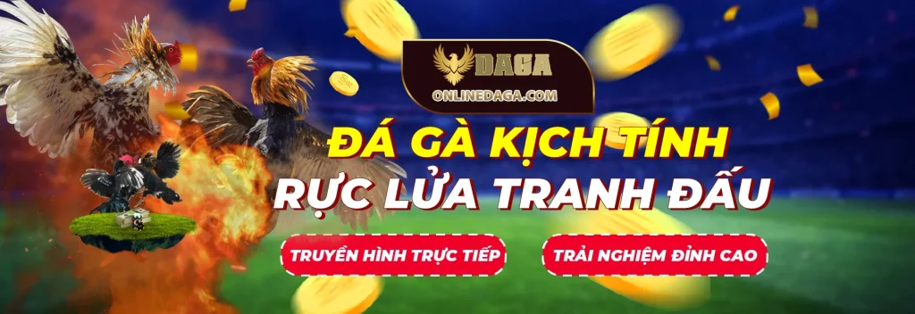 đá gà kịch tính - rực lửa tranh đấu