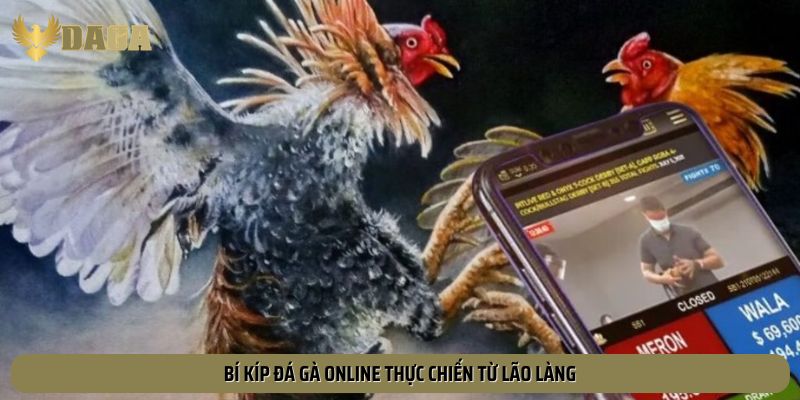 Bí kíp đá gà online thực chiến từ lão làng