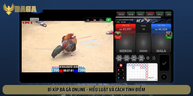 Bí kíp đá gà online - Hiểu luật và cách tính điểm
