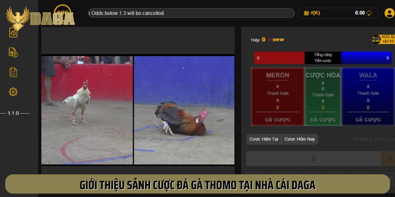 Trải nghiệm tựa game Đá Gà Thomo tại nhà cái