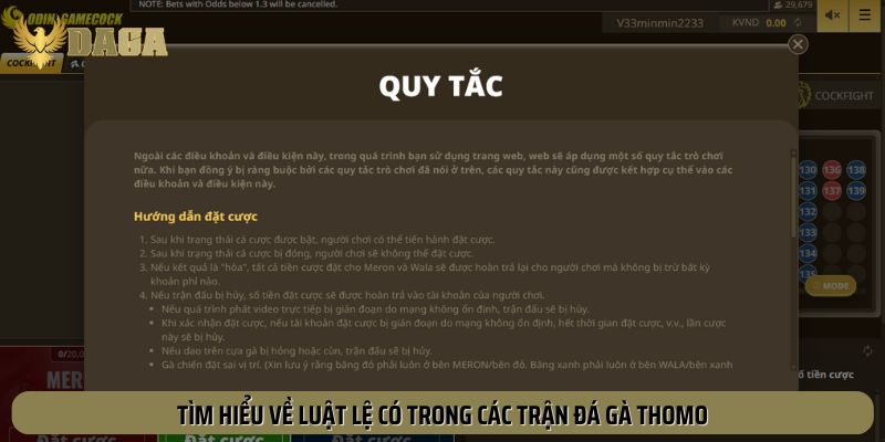 Luật lệ có trong các trận Đá Gà Thomo