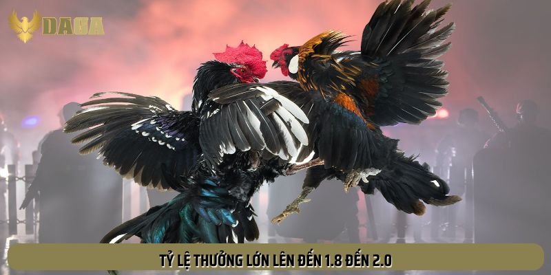 Tỷ lệ thưởng 1.8 đến 2.0 lần số tiền cược