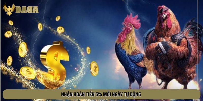 Nhận hoàn tiền cược dễ dàng