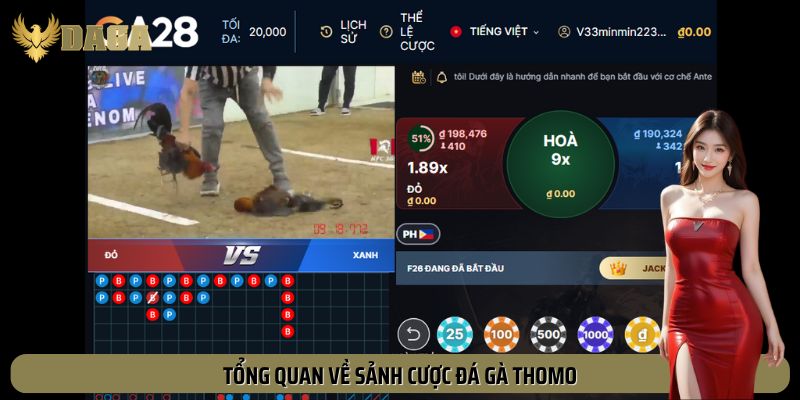 Tổng quan về sảnh cược đá gà Thomo
