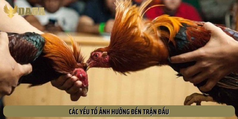 Hiểu các yếu tố làm thay đổi kết quả