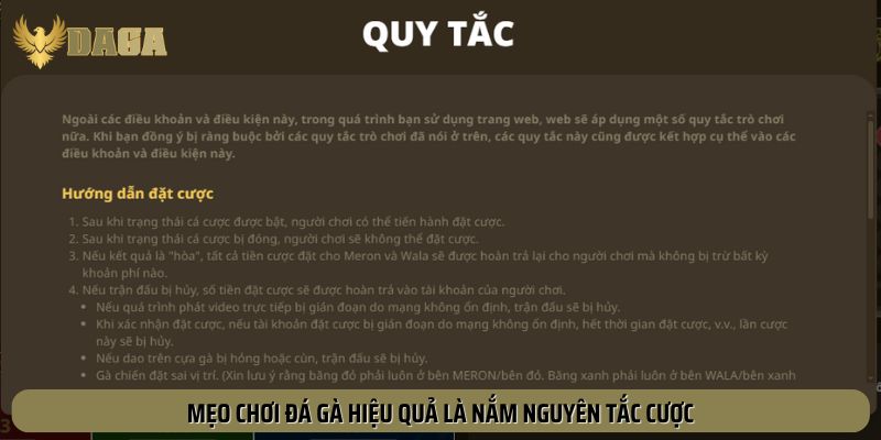 Nắm vững nguyên tắc là mẹo chơi đá gà hiệu quả