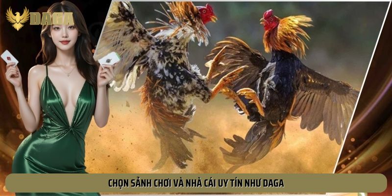 Người chơi nên chọn sân cược và nhà cái uy tín