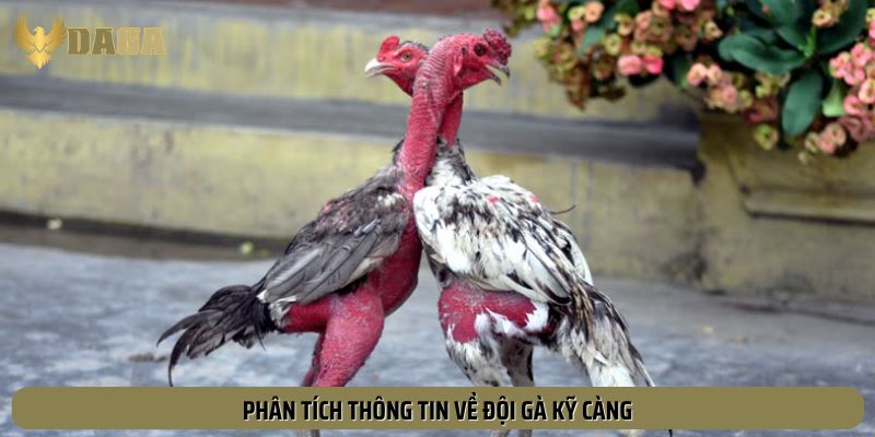 Các yếu tố cần thu thập khi phân tích đội gà