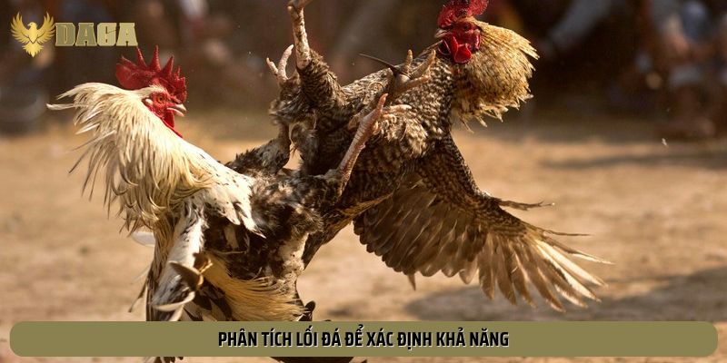 Phân tích lối đá để xác định khả năng