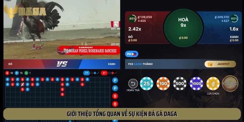 Sự kiện đá gà Daga được tổ chức thường xuyên