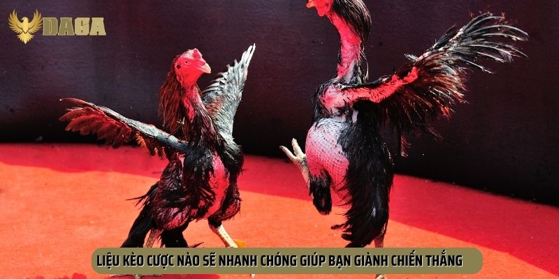 Liệu kèo cược nào sẽ nhanh chóng giúp bạn giành chiến thắng