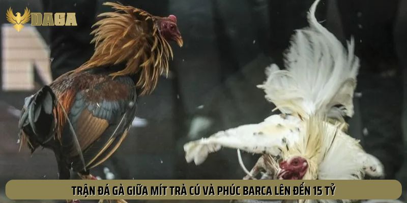 Dấu ấn từ trận đá gà đẹp nhất 15 tỷ